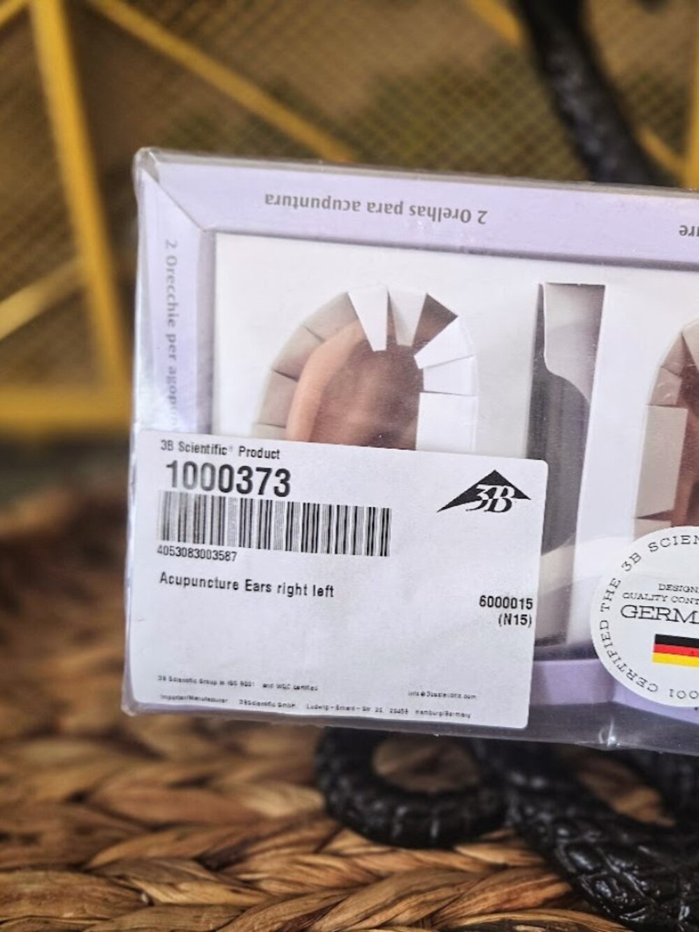 3B Scientific Acupuncture Ears Model Set (Left & Right) - Brand New in Box - Picture 3 of 15